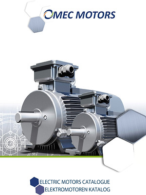 Omec Motors - Medium and High Voltage Motors